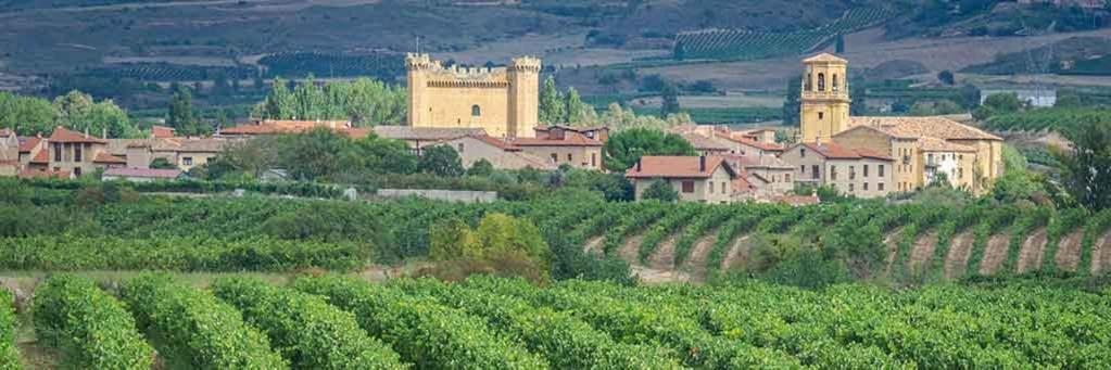Apartamento Haro Wine Experience Ngoại thất bức ảnh