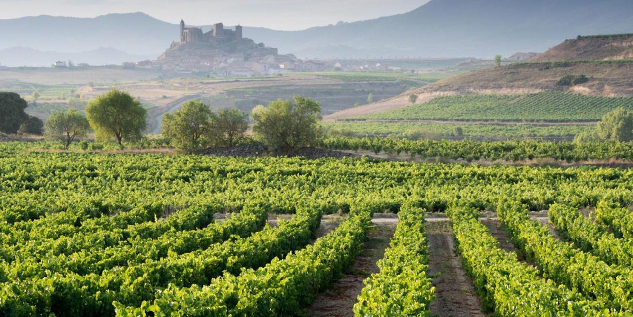 Apartamento Haro Wine Experience Ngoại thất bức ảnh